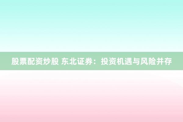 股票配资炒股 东北证券：投资机遇与风险并存