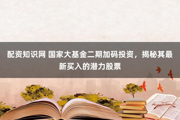 配资知识网 国家大基金二期加码投资，揭秘其最新买入的潜力股票