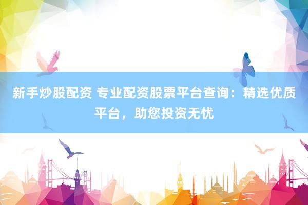 新手炒股配资 专业配资股票平台查询：精选优质平台，助您投资无忧