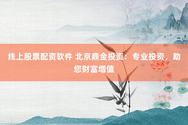 线上股票配资软件 北京鼎金投资：专业投资，助您财富增值