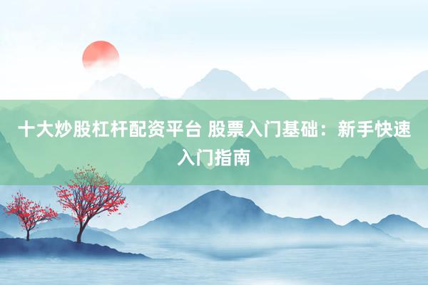 十大炒股杠杆配资平台 股票入门基础：新手快速入门指南