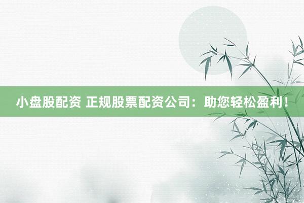 小盘股配资 正规股票配资公司：助您轻松盈利！