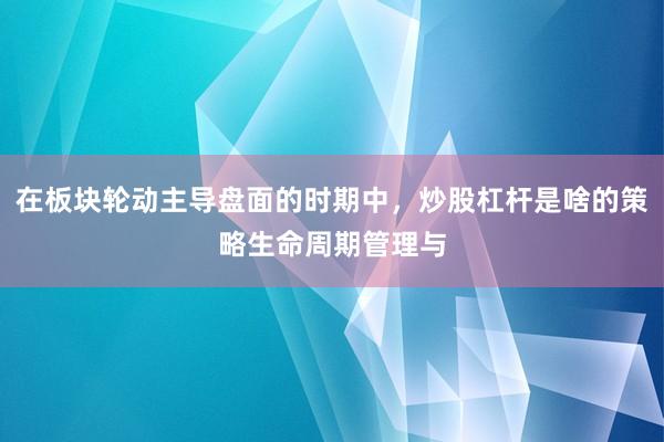 在板块轮动主导盘面的时期中，炒股杠杆是啥的策略生命周期管理与